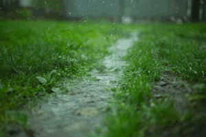 rainwatertech