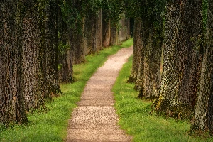 exit path 1