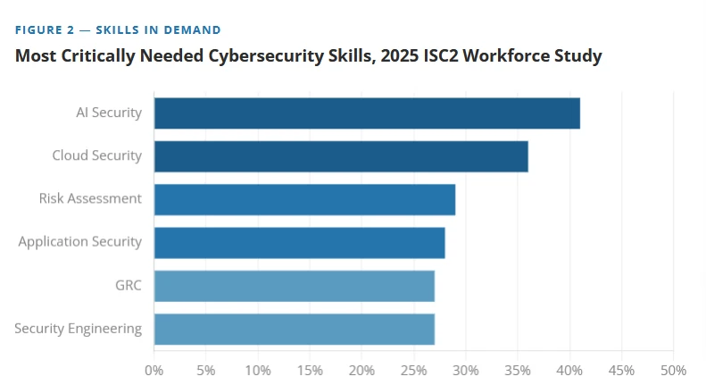 ciso skills